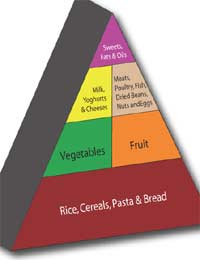 Food Pyramid Calories Food Servings