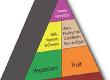 An Introduction to the Food Pyramid